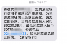 文成遇到恶意拖欠？专业追讨公司帮您解决烦恼